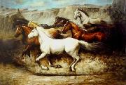 unknow artist Horses 020 oil painting reproduction